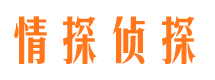 麟游侦探公司